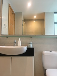 The Infiniti (D5), Condominium #202510512